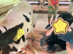 ピザ作りをしたよ🍕