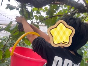 ぶどう狩りに行ったよ🍇
